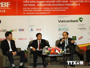 Singapore leads foreign investment in HCM city