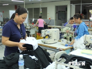 Vietnam-Singapore Business Forum opens