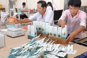 Dong Nai exports over 3,100 tonnes of pepper