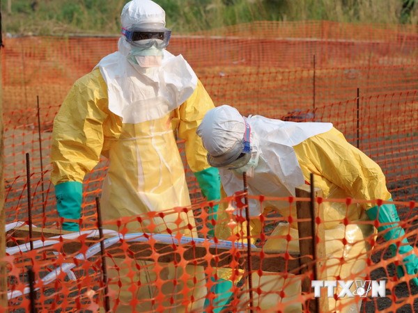 L’Afrique de l Ouest a subi la plus grave épidémie d Ebola de son histoire