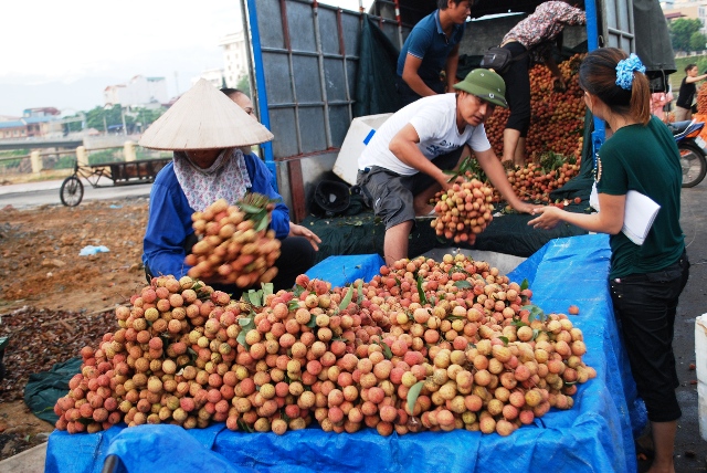 Trade turnover through Lao Cai’s border gates hit USD652 million in five months