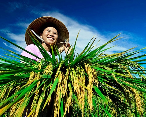 Lancement du 6e concours photographique Vietnam  sa terre et son peuple