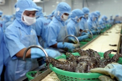 2014 seafood exports predicted to hit USD7 billion