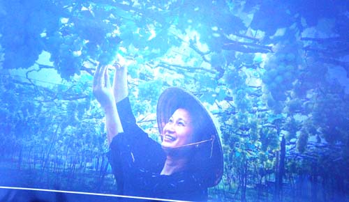 Triển lãm ảnh nghệ thuật “Ninh Thuận - Một vùng đất quyến rũ”