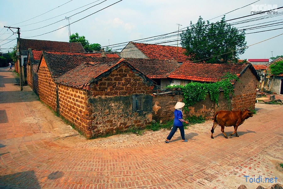 Hanoi  restauration d’anciennes maisons du vieux village de Duong Lâm