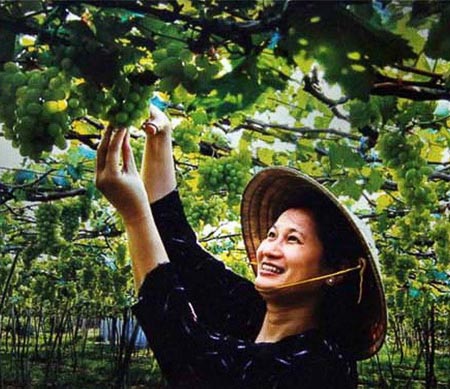 Triển lãm ảnh Ninh Thuận - Một vùng đất quyến rũ