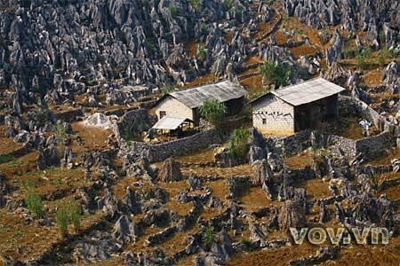 Un petit musée sur le parc géologique du plateau calcaire de Dong Van