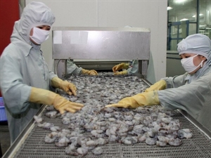 Mekong Delta targets USD2 6 billion in shrimp exports