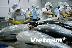 Tuna exports to Netherlands surge