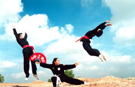 Binh Dinh  bientôt le 5e festival international des arts martiaux traditionnels du Vietnam 2014