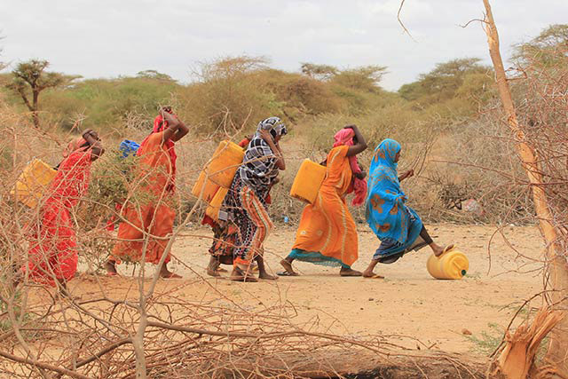 Liên hợp quốc kêu gọi ngăn chặn một nạn đói có thể lặp lại tại Somalia