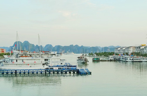 Quảng Ninh Đồng thuận phương án chuyển tàu du lịch từ cảng tàu Bãi Cháy về cảng tàu Tuần Châu