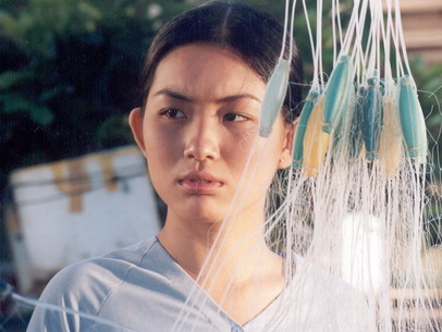 Film screenings on great festivals 2014