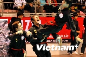 Binh Dinh kicks off martial arts festival
