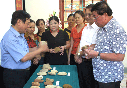 Archaeological relics discovered in Dong Van Karst Plateau