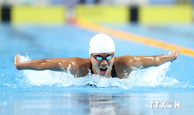 Swimmer Anh Vien wins another medal at Youth Olympics