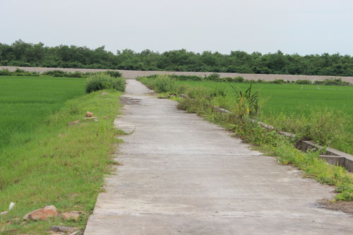 Quảng Ninh đẩy mạnh ứng dụng khoa học công nghệ trong xây dựng nông thôn mới