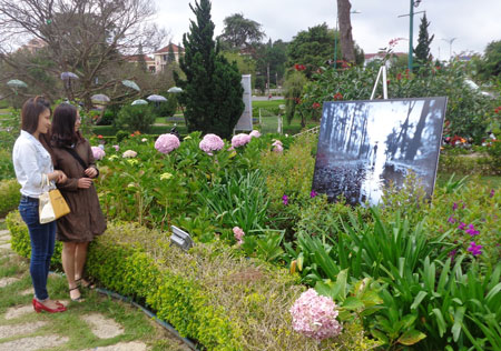 Exposition de photos d’art Romantique de Da Lat sous la pluie
