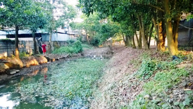 Cần sớm giải quyết tình trạng ô nhiễm ở trại gà CP Xuân Long, Hà Nội