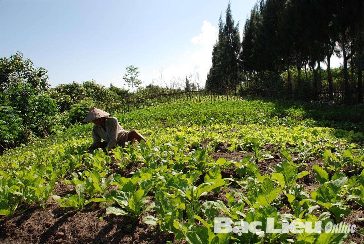 Đẩy mạnh ứng dụng và chuyển giao khoa học - công nghệ để nâng cao giá trị gia tăng