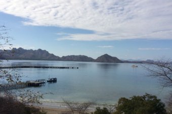 Indonesian tour boat tragedy leaves 15 missing