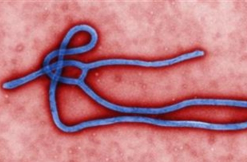 Cameroon closes borders with Nigeria over Ebola