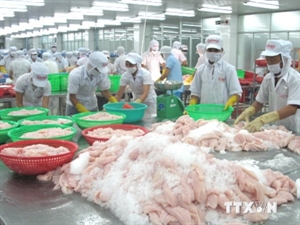 Russia lifts import ban on seven Vietnamese aquatic businesses
