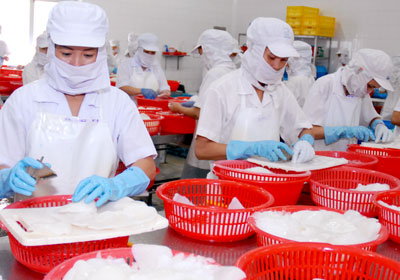 Significant rise in Vietnamese squid and octopus exports to EU
