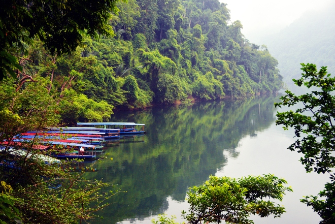 Le lac de Ba Be, perle verte au milieu de la forêt