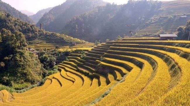 Tourism week kicks off in Mu Cang Chai
