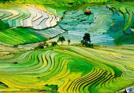 Les rizières en gradins de Sapa, l un des paysages les plus beaux du monde