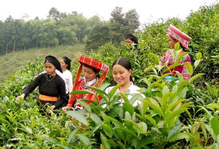 Đồng bào các dân tộc tỉnh Hà Giang quyết tâm, đồng lòng thực hiện lời Bác dặn