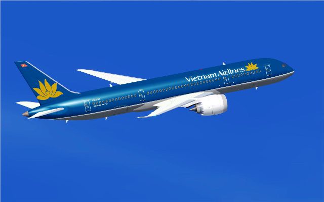 Team set up for Hanoi-HCM City straight air route