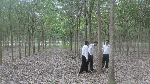 Vietnam invests nearly USD900 million abroad