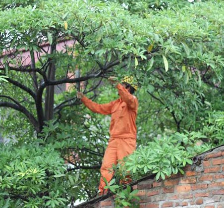 Kết quả nổi bật của EVN trong tháng 8
