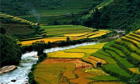Vietnam, destination de prédilection pour les touristes britanniques