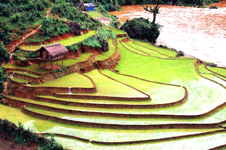 Mu Cang Chai est prêt pour la semaine culturelle, sportive et touristique 2014
