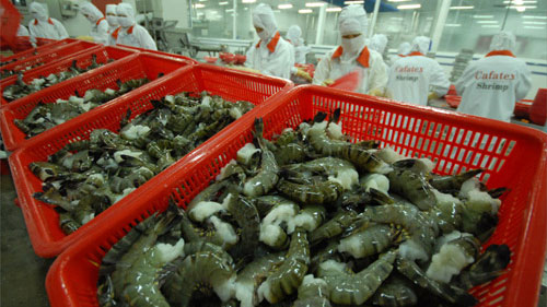 US levies anti-dumping tariffs on Vietnamese shrimp