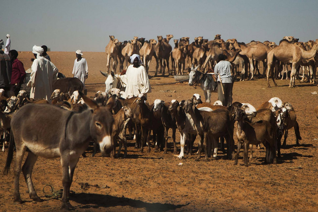 Sudan Tái diễn tình hình bắn phá tại các làng mạc khiến hàng chục nghìn người di cư