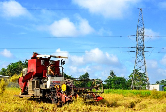 Long Khánh Đồng Nai  100 xã đạt chuẩn nông thôn mới