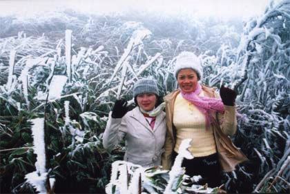 Lang Son  Bientôt le Festival touristique d’hiver de Mâu Son