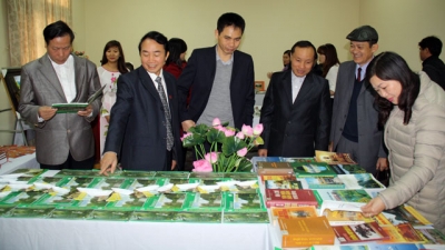 Diverse cultural activities to honour Trang An landscape complex