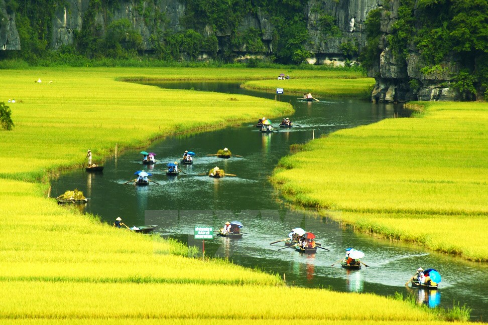 Admiring Vietnam’s first mixed heritage