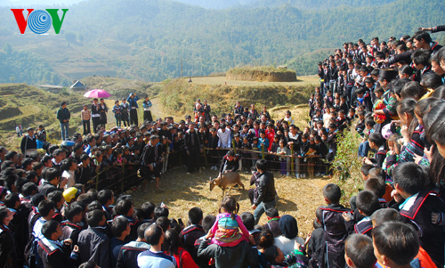 Lao Cai to bring Gau Tao festival to tourists