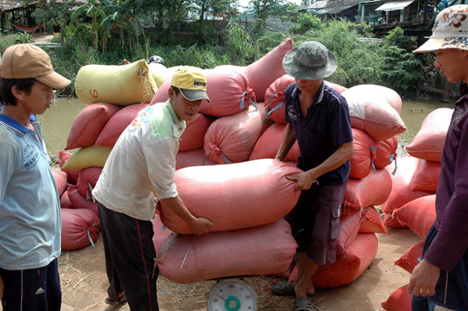Đồng Tháp Sau hơn 10 năm thực hiện Nghị quyết Trung ương 5 khóa IX
