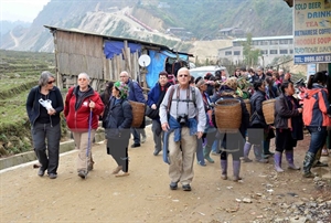 Visitors flock to tourist sites during 2015’s first days