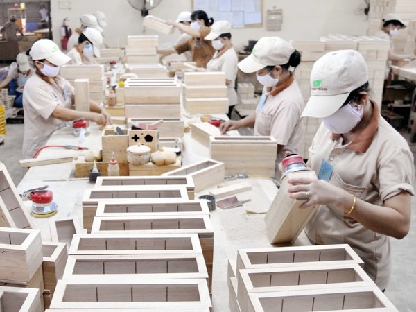 Forestry industry targets VND25 trillion of production value