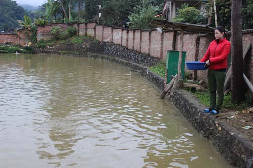 Triển khai hiệu quả tín dụng chính sách tại nhiều địa phương của Lào Cai