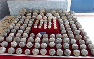 Large cluster of ancient stone shot discovered in Thanh Hoa