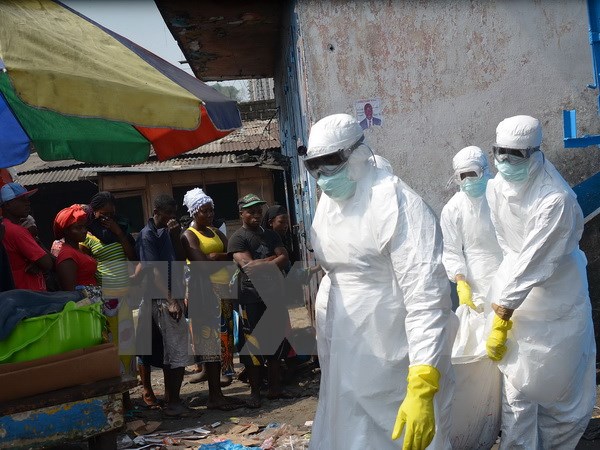 Mali declares itself Ebola free